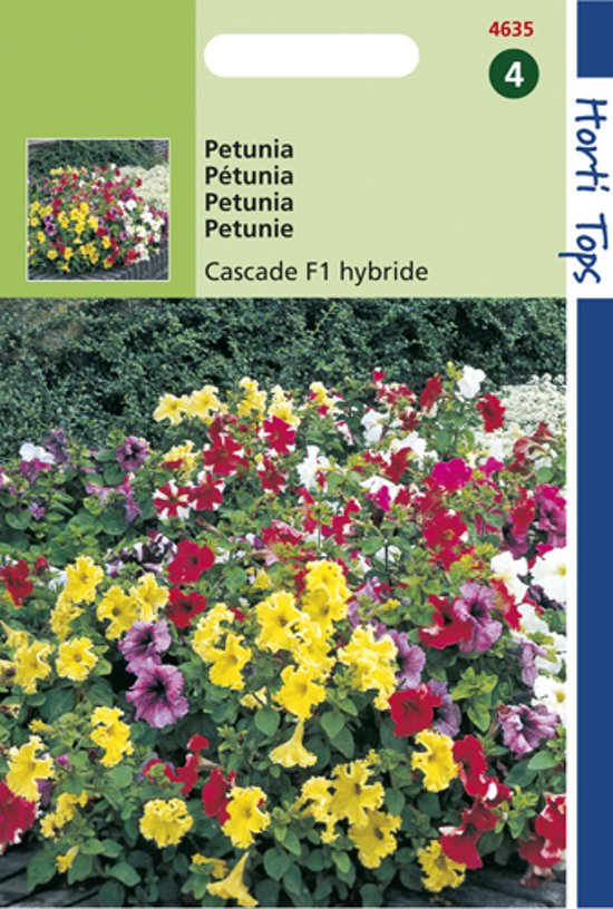 Petunien Cascade Mix F1 (Petunia multiflora) 70 Samen